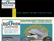 Tablet Screenshot of dolphindiscoverieshiltonhead.com